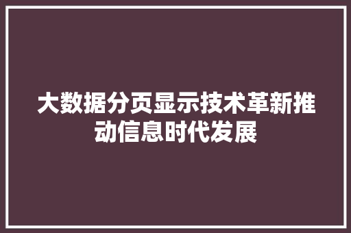 大数据分页显示技术革新推动信息时代发展