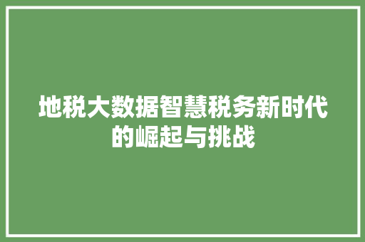 地税大数据智慧税务新时代的崛起与挑战 编程语言 地税大数据智慧税务新时代的崛起与挑战 编程语言