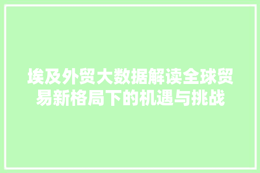 埃及外贸大数据解读全球贸易新格局下的机遇与挑战