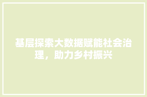 基层探索大数据赋能社会治理，助力乡村振兴 电脑基础