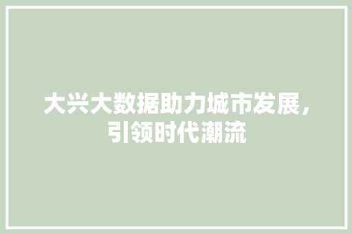 大兴大数据助力城市发展,引领时代潮流 网络技术 大兴大数据助力城市发展,引领时代潮流 网络技术