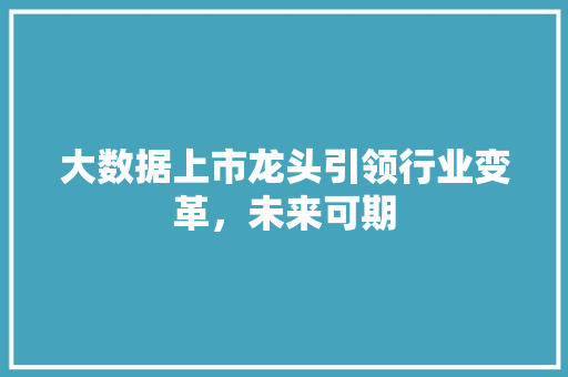 大数据上市龙头引领行业变革，未来可期 操作系统