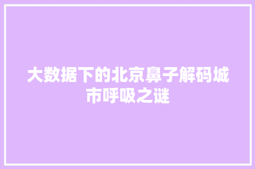 大数据下的北京鼻子解码城市呼吸之谜 操作系统
