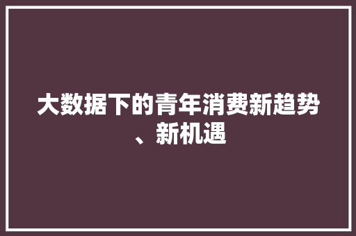 大数据下的青年消费新趋势、新机遇 大数据下的青年消费新趋势、新机遇