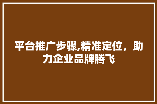 平台推广步骤,精准定位，助力企业品牌腾飞 平台推广步骤,精准定位，助力企业品牌腾飞 电脑配置