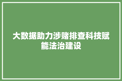 大数据助力涉赌排查科技赋能法治建设 编程语言