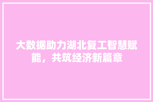 大数据助力湖北复工智慧赋能，共筑经济新篇章