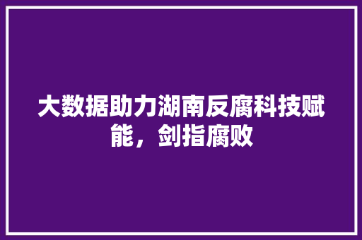 大数据助力湖南反腐科技赋能，剑指腐败 电脑基础
