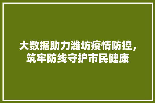 大数据助力潍坊疫情防控，筑牢防线守护市民健康