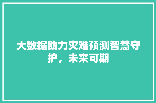 大数据助力灾难预测智慧守护，未来可期 编程语言