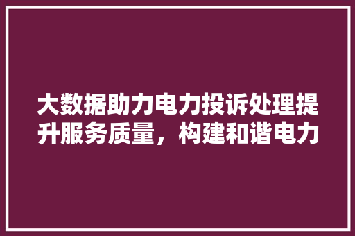 大数据助力电力投诉处理提升服务质量，构建和谐电力生态