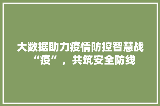 大数据助力疫情防控智慧战“疫”，共筑安全防线