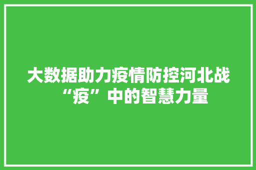 大数据助力疫情防控河北战“疫”中的智慧力量