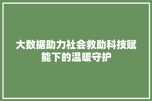 大数据助力社会救助科技赋能下的温暖守护
