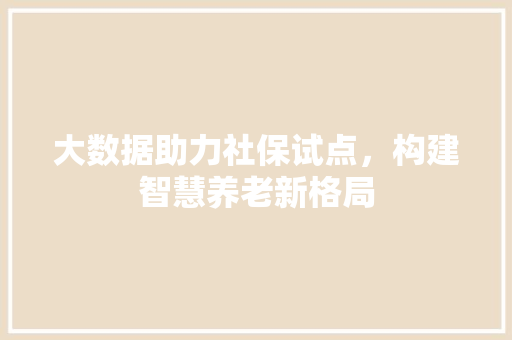 大数据助力社保试点，构建智慧养老新格局