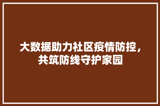 大数据助力社区疫情防控，共筑防线守护家园
