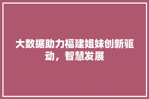 大数据助力福建姐妹创新驱动，智慧发展