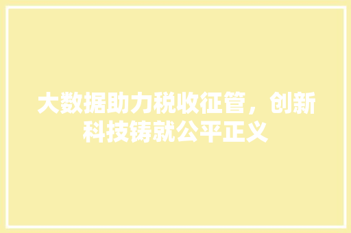 大数据助力税收征管，创新科技铸就公平正义