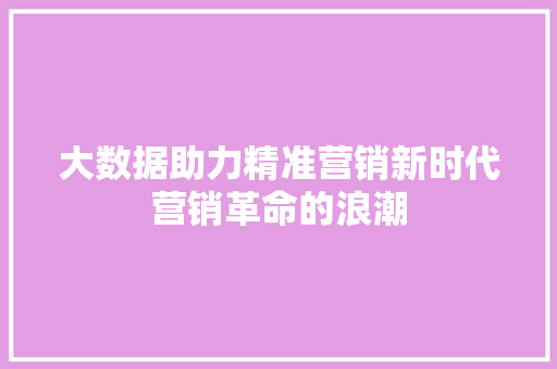 大数据助力精准营销新时代营销革命的浪潮