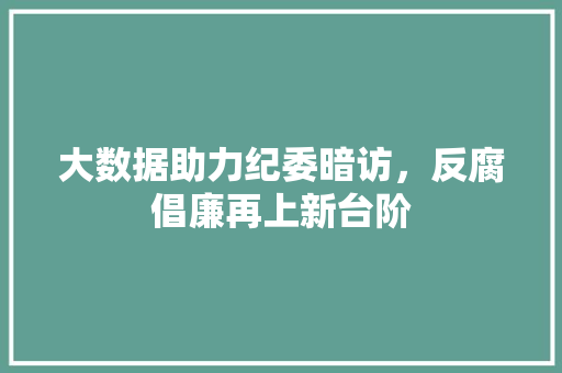大数据助力纪委暗访，反腐倡廉再上新台阶