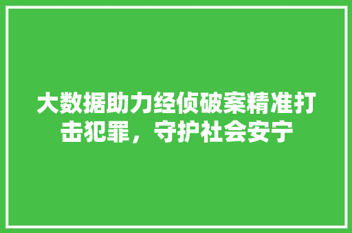 大数据助力经侦破案精准打击犯罪，守护社会安宁