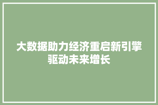 大数据助力经济重启新引擎驱动未来增长
