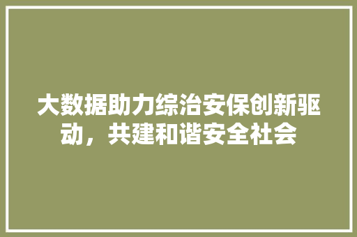 大数据助力综治安保创新驱动，共建和谐安全社会