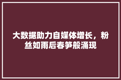 大数据助力自媒体增长，粉丝如雨后春笋般涌现