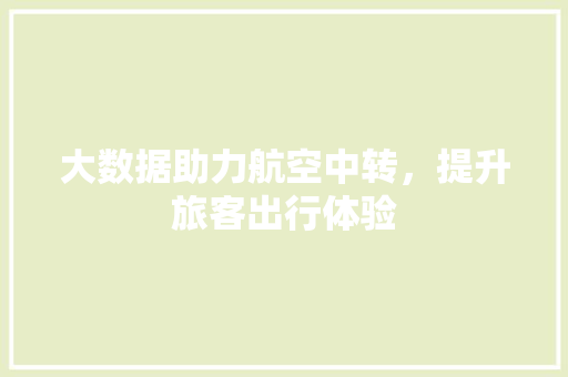 大数据助力航空中转，提升旅客出行体验
