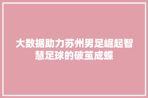 大数据助力苏州男足崛起智慧足球的破茧成蝶