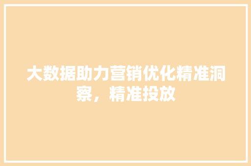 大数据助力营销优化精准洞察，精准投放