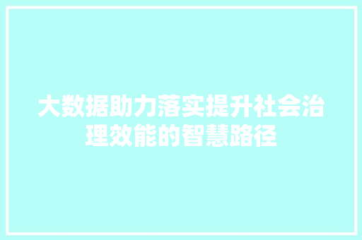 大数据助力落实提升社会治理效能的智慧路径
