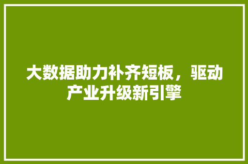 大数据助力补齐短板，驱动产业升级新引擎
