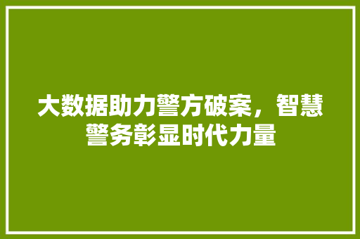 大数据助力警方破案,智慧警务彰显时代力量 大数据助力警方破案,智慧警务彰显时代力量