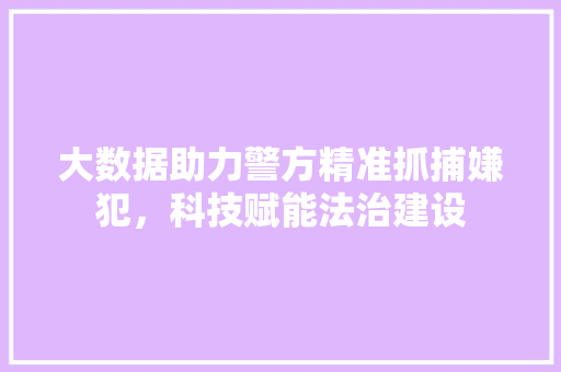 大数据助力警方精准抓捕嫌犯，科技赋能法治建设