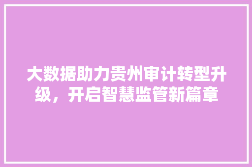 大数据助力贵州审计转型升级，开启智慧监管新篇章