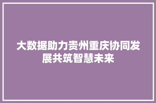 大数据助力贵州重庆协同发展共筑智慧未来