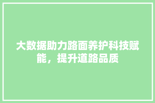 大数据助力路面养护科技赋能，提升道路品质