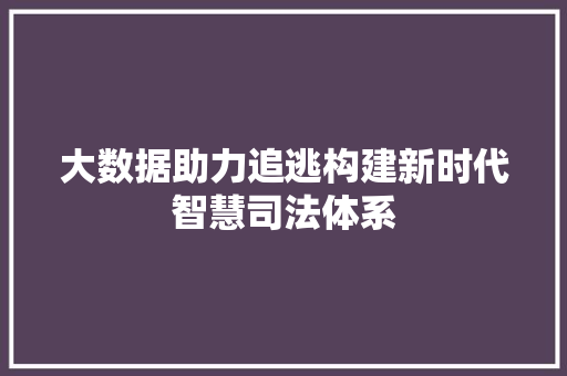大数据助力追逃构建新时代智慧司法体系