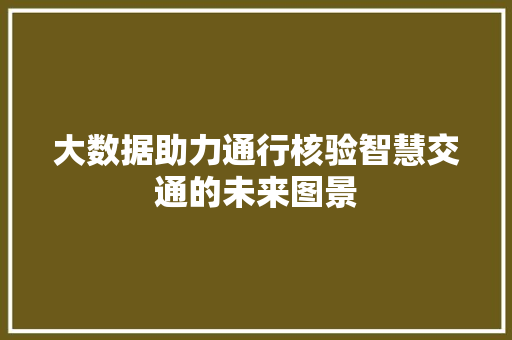 大数据助力通行核验智慧交通的未来图景