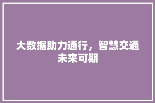 大数据助力通行，智慧交通未来可期