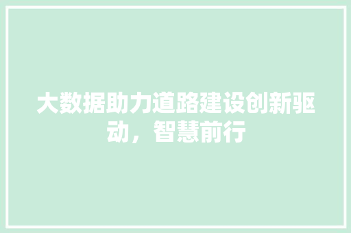 大数据助力道路建设创新驱动，智慧前行