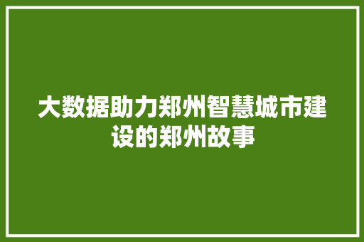 大数据助力郑州智慧城市建设的郑州故事
