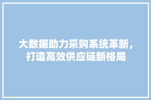 大数据助力采购系统革新，打造高效供应链新格局