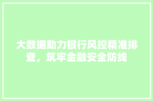 大数据助力银行风控精准排查，筑牢金融安全防线
