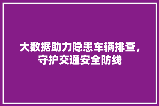 大数据助力隐患车辆排查，守护交通安全防线