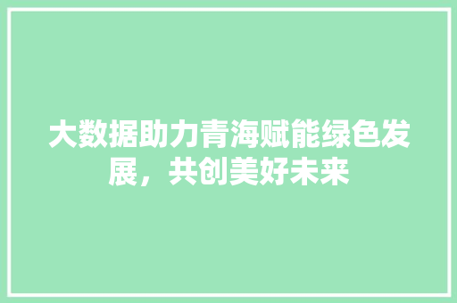 大数据助力青海赋能绿色发展，共创美好未来