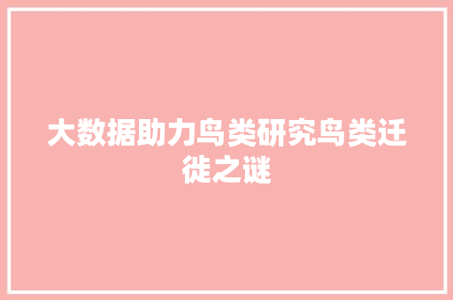 大数据助力鸟类研究鸟类迁徙之谜