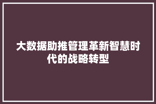 大数据助推管理革新智慧时代的战略转型