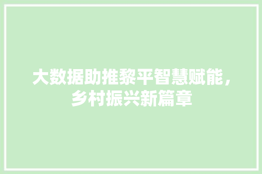 大数据助推黎平智慧赋能，乡村振兴新篇章